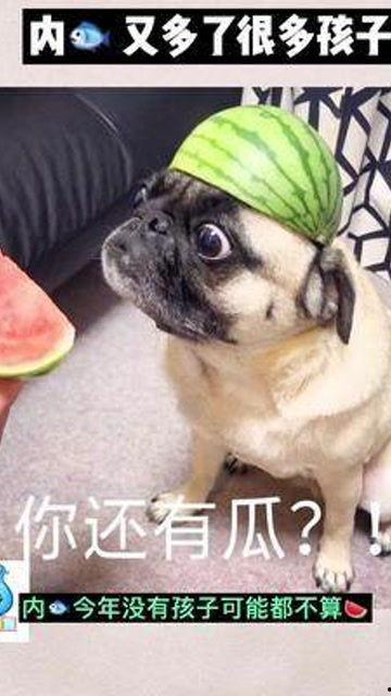 娱乐吃瓜宝宝,揭秘娱乐圈那些不为人知的幕后故事 第2张 娱乐吃瓜宝宝,揭秘娱乐圈那些不为人知的幕后故事 第2张